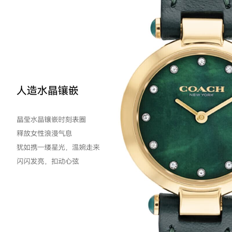 Механические часы COACH Cary 14503951 - изображение 7