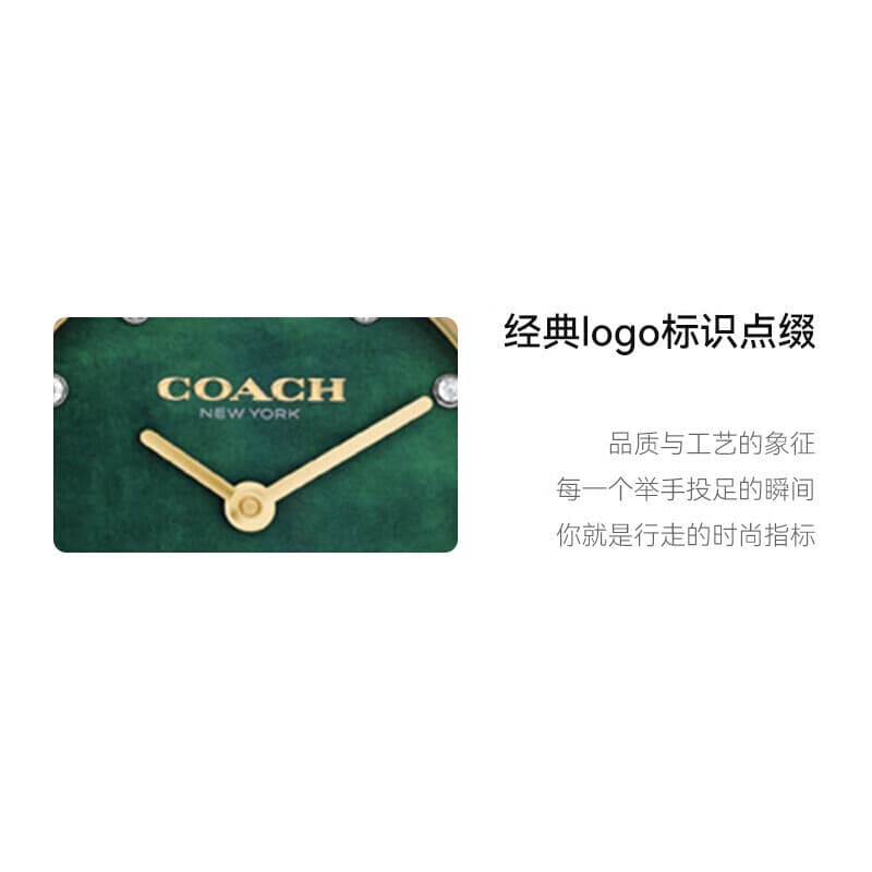 Механические часы COACH Cary 14503951 - изображение 6