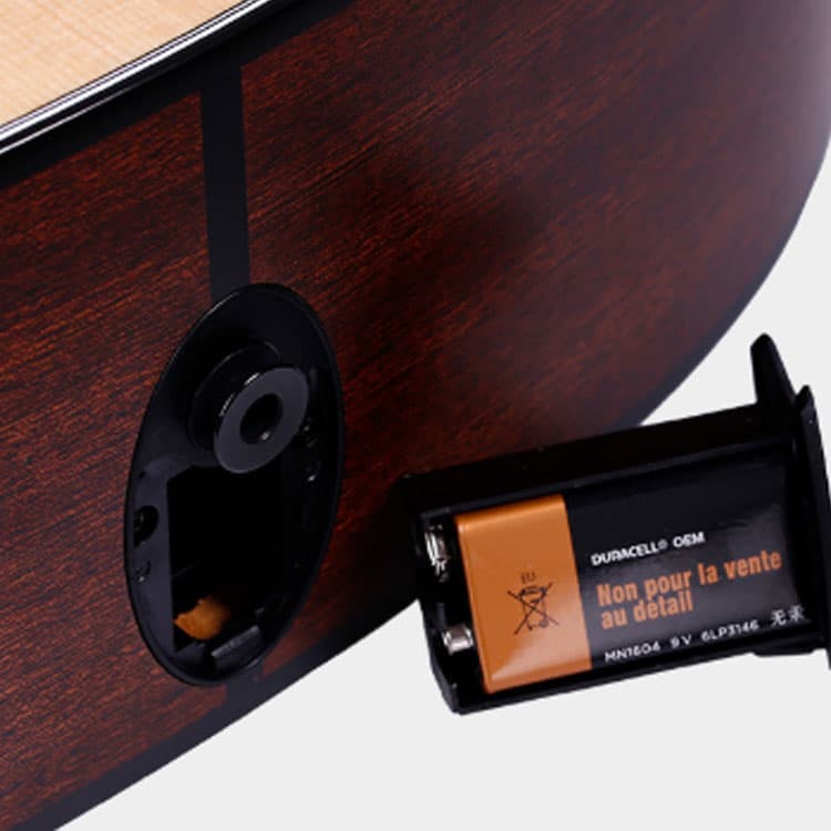 TAYLOR () 300 314ce LTD 50th(50 ES2 - изображение 4