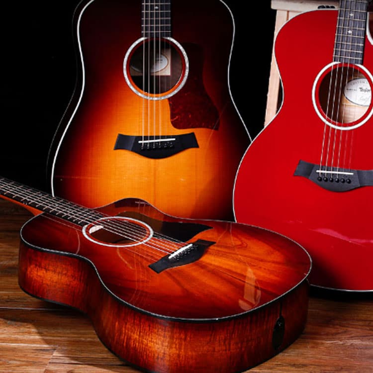 TAYLOR () 300 314ce LTD 50th(50 ES2 - изображение 2