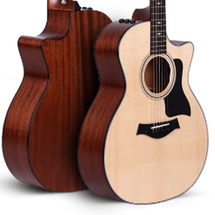 TAYLOR () 300 314ce LTD 50th(50 ES2 - изображение 3