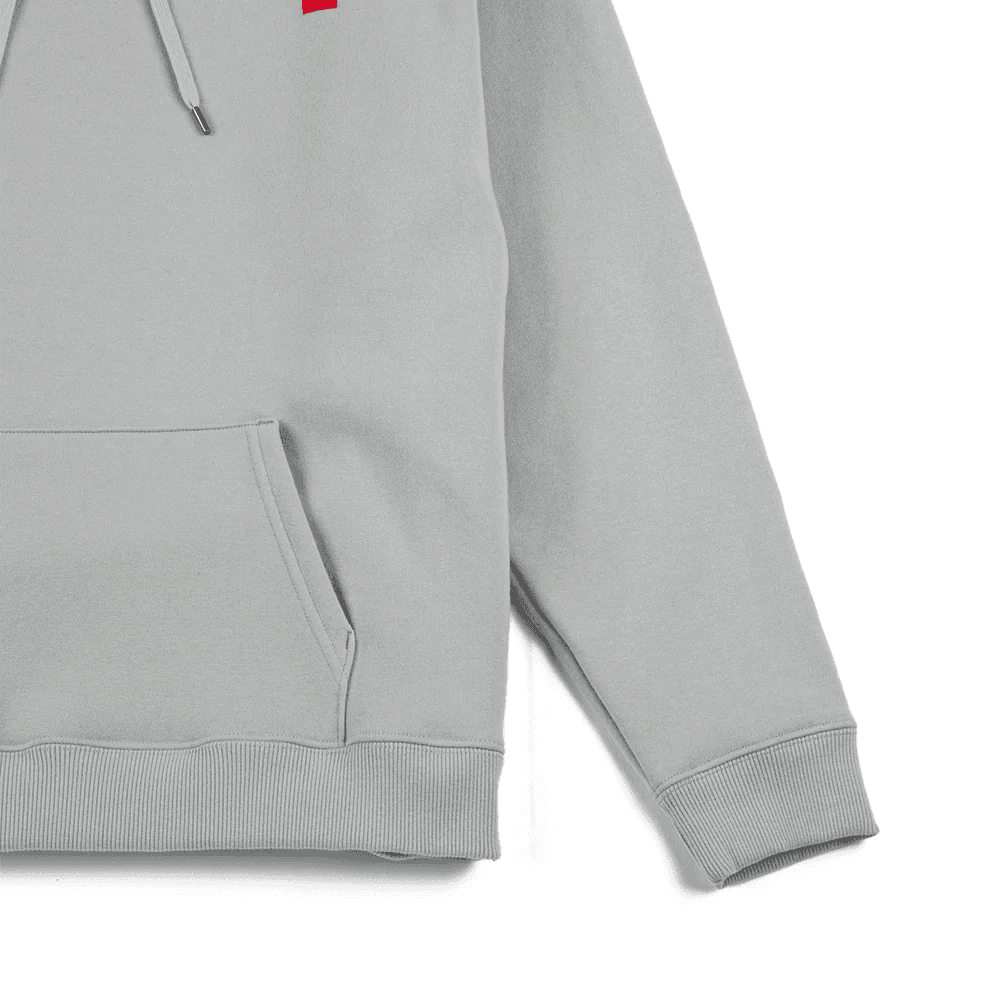 Худи THE NORTH FACE Logo - изображение 5