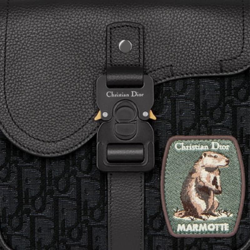 Рюкзак DIOR Saddle Oblique Backpack Black - изображение 5
