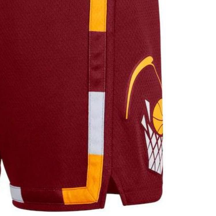 Баскетбольные шорты Nike NBA SW 21-22 - изображение 4