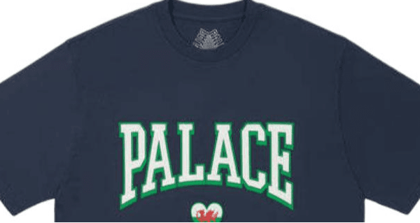 Футболка PALACE FW24 SQUAD T-SHIRT T - изображение 4