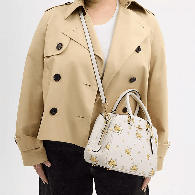 Сумка COACH Savannah 29 Tote - изображение 6