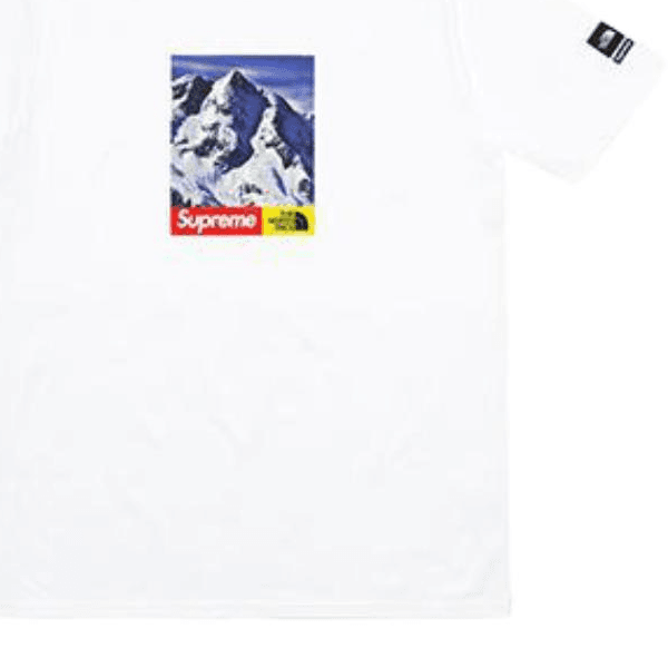 Футболка Supreme x The North Face FW17 Snow Mountain Tee White - изображение 2